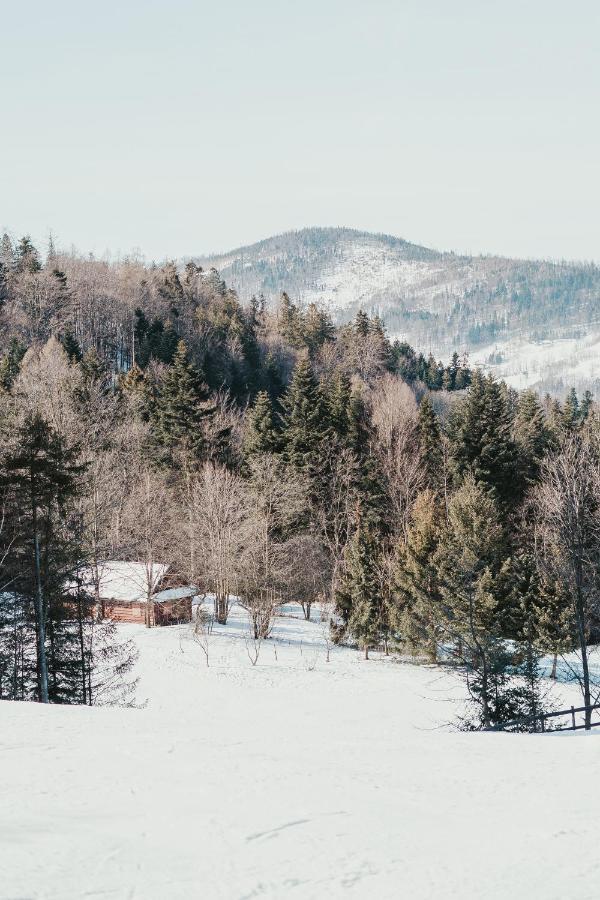 Apartament Nad Potokiem Skrzyczne Residence Szczyrk Buitenkant foto