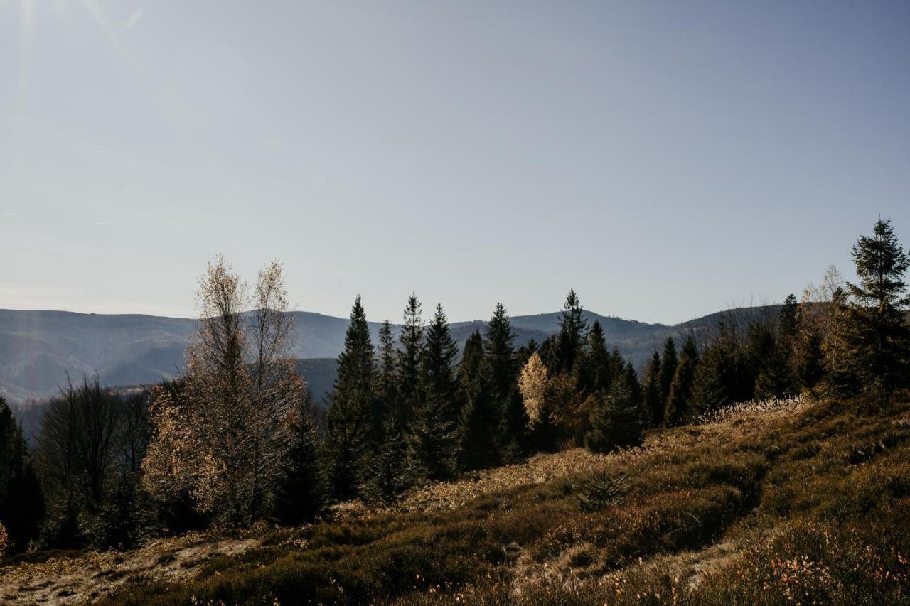 Apartament Nad Potokiem Skrzyczne Residence Szczyrk Buitenkant foto